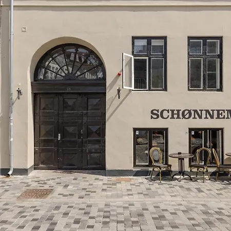 Apartment Stylish Spacious Apartment W 3Br In Copenhagen City Copenhagen